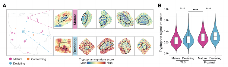 Fig5_Figure 5A-B from Tang et al. (2025)250905